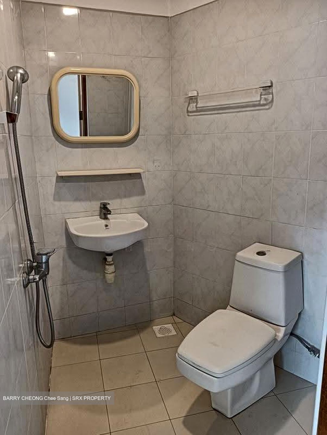 The Draycott (D10), Apartment #617673861